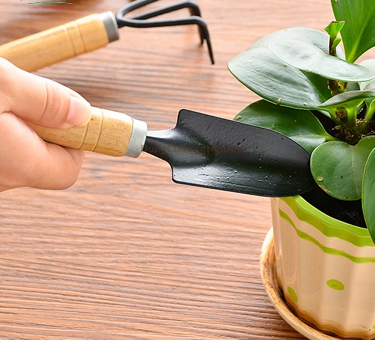 Bộ dụng cụ làm vườn mini 3 món cán gỗ chắc chắn VX02
