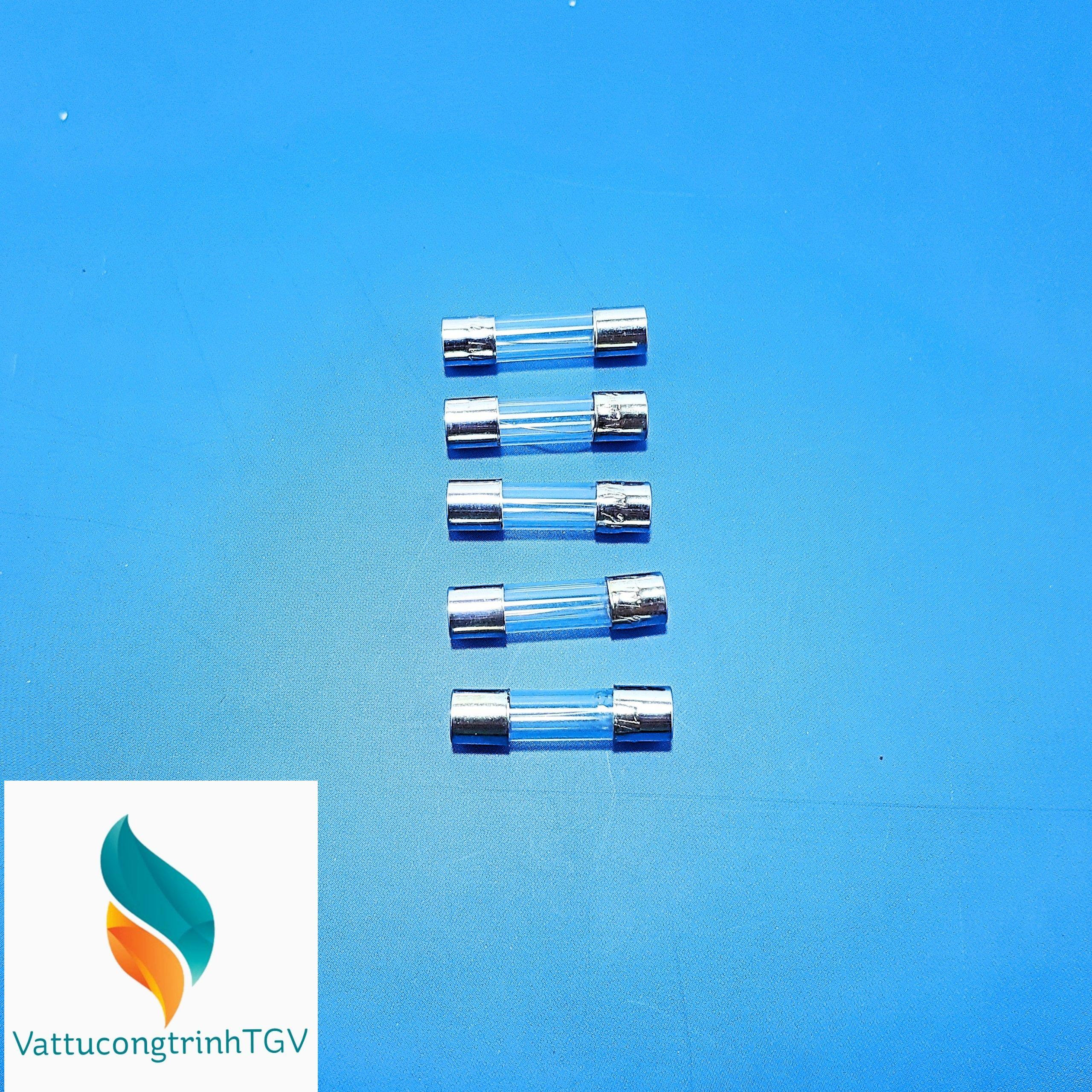 Bộ 5 cầu chì 3A (20*5mm)