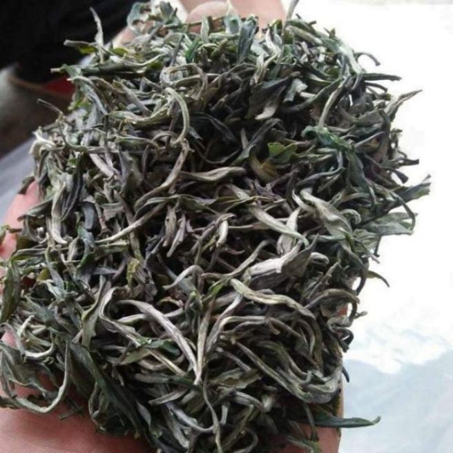 Sỉ toàn quốc 500g trà shan tuyết