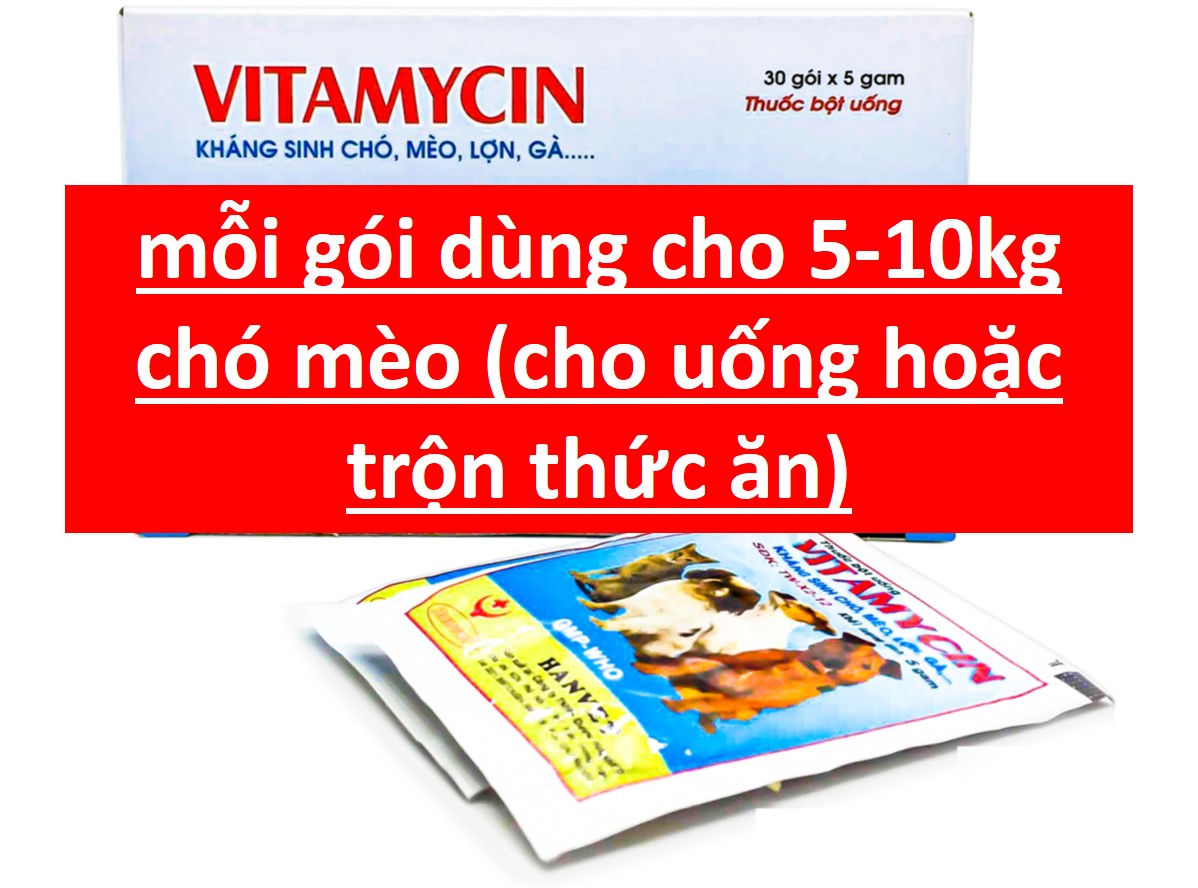 Kháng sinh chó mèo thuốc phòng trị bệnh thú cưng