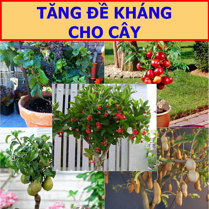 Phân Hữu Cơ Sinh Học Minro