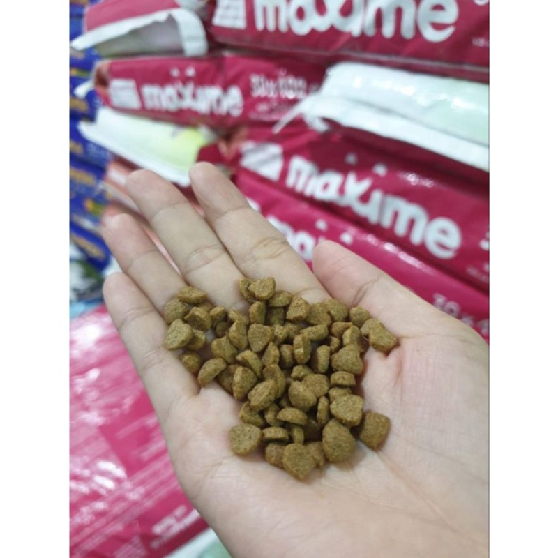 Thức Ăn Hạt Cho Mèo Maxime Cho Mèo Mọi Lứa Tuổi - Yan Pet