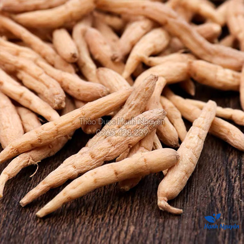 Sâm đất (Thái tử sâm) 100g - Thảo dược hạnh nguyên