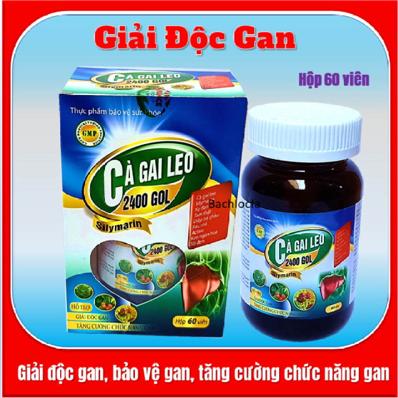Viên uống giải độc gan Cà Gai Leo 2400 Gol,giúp giải độc gan, tăng cường chức năng gan, hạ men gan- Hộp 60 viên- HSd năm 2023