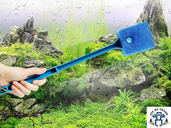 Cọ bể bằng mút bọt biển dùng vệ sinh bể cá cảnh, bể thủy sinh