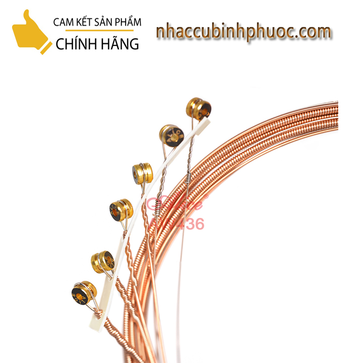 Bộ dây đàn Guitar thùng Alice AW436 (Bộ)