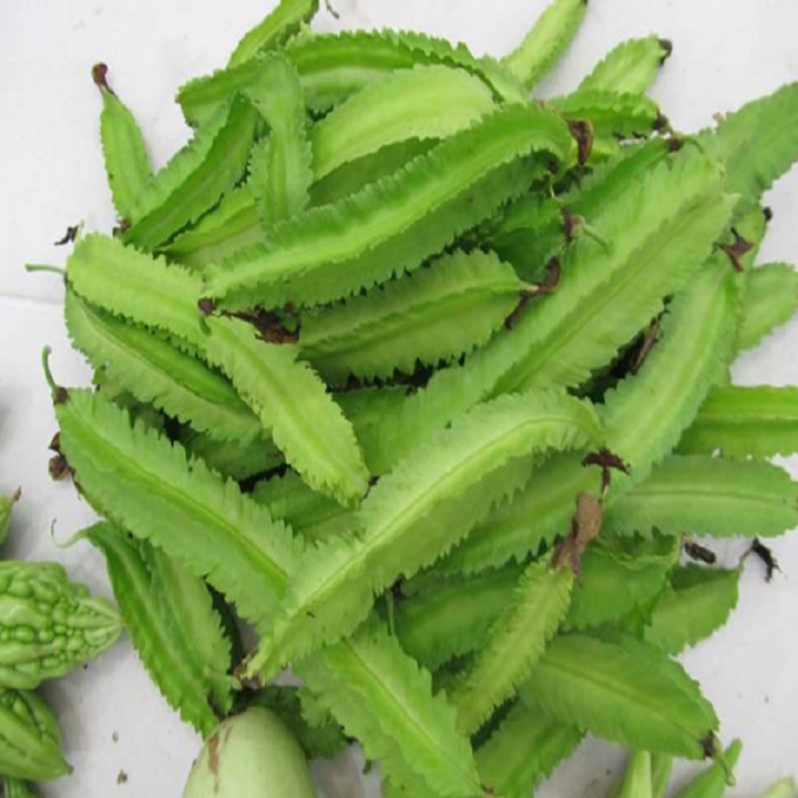 Hạt giống Đậu Rồng ( đậu khế)
