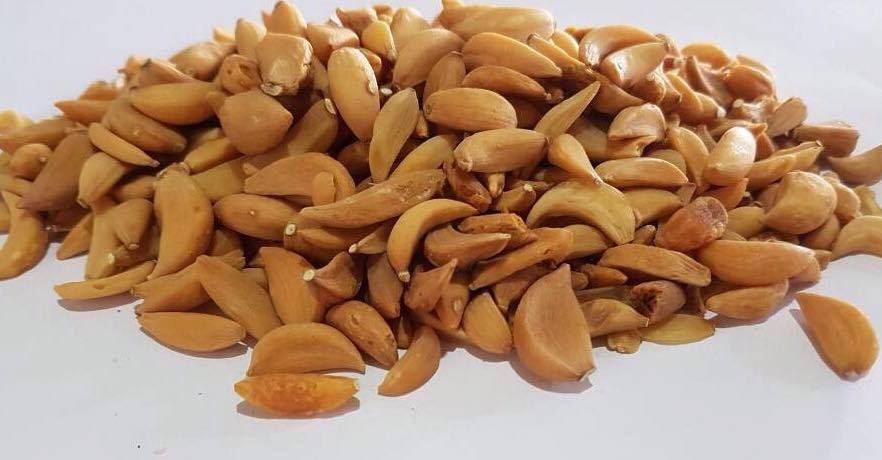 Tỏi Khô Nguyên Tép Ông Chà Và 500g