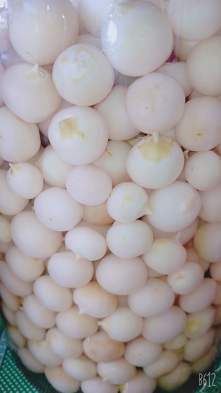 500gram DƯA CÀ PHÁO ĐẶC BIỆT