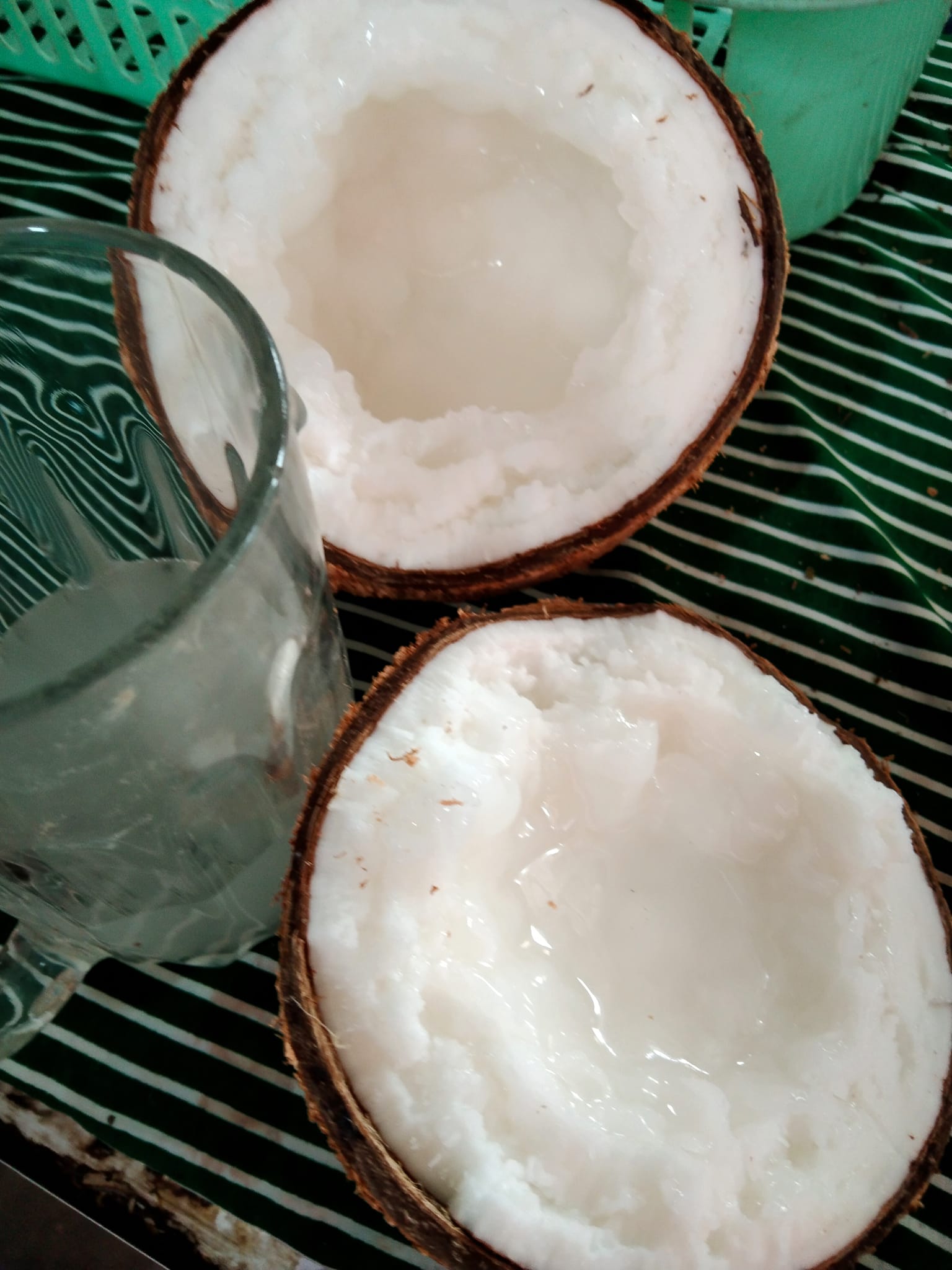 🌴 Dừ....a   s .á .  p loại đặc biệt