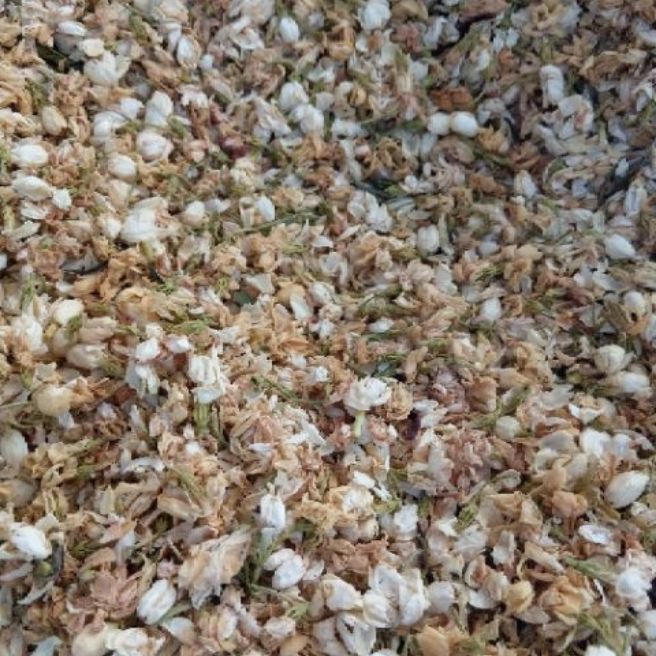 sỉ toàn quốc 100g hoa nhài trà hoa bát tiên