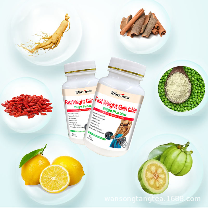 WinsTown Fast Weight Gain tablet weight Plus tablet Export Delivery