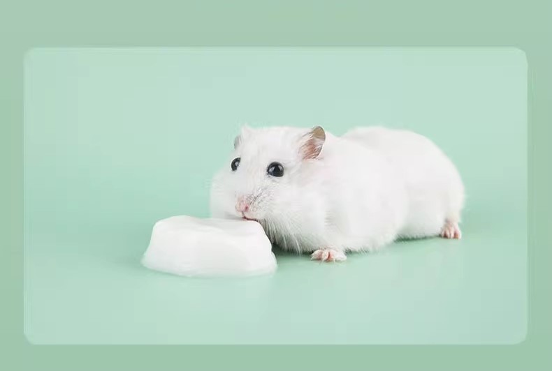 pudding sữa dê cho hamster , sóc, nhím, thỏ, bọ - T3 PETS SHOP