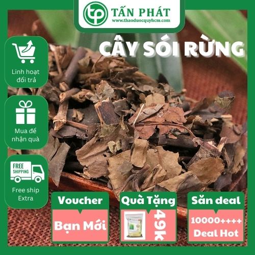 Cây sói rừng sấy khô 500g cao cấp - Hàng công ty 100% thiên nhiên - Chuyên dùng để pha trà