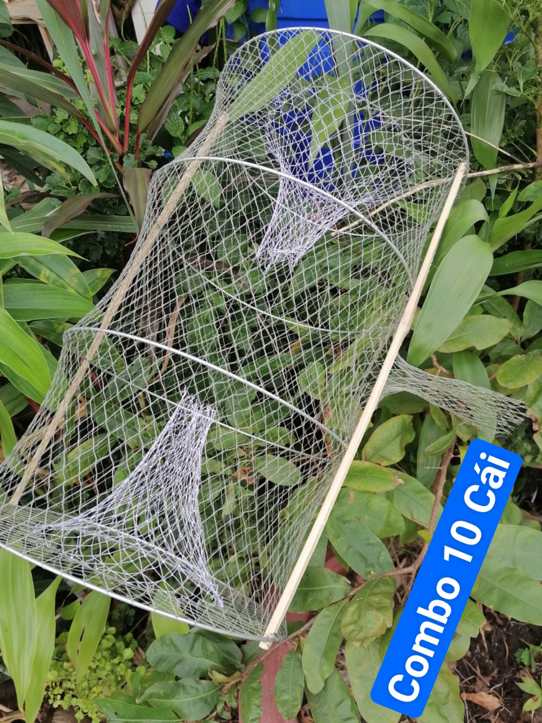Lờ cá lóc ( Combo 10 cái, 4 Vành Kẽm, 30cm X 50cm )