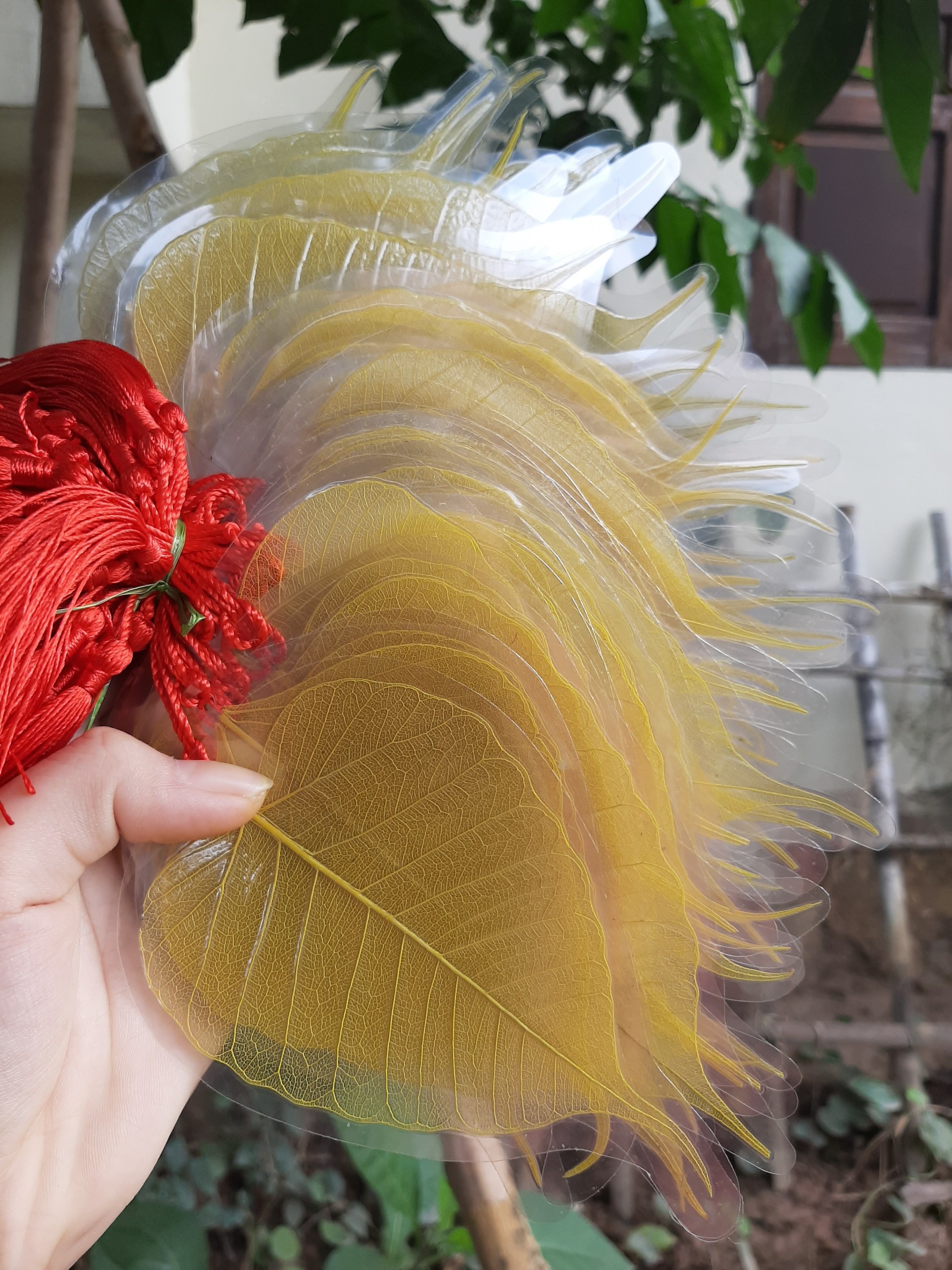 Lá bồ đề ép sẵn dùng để viết thư pháp size8-9cm
