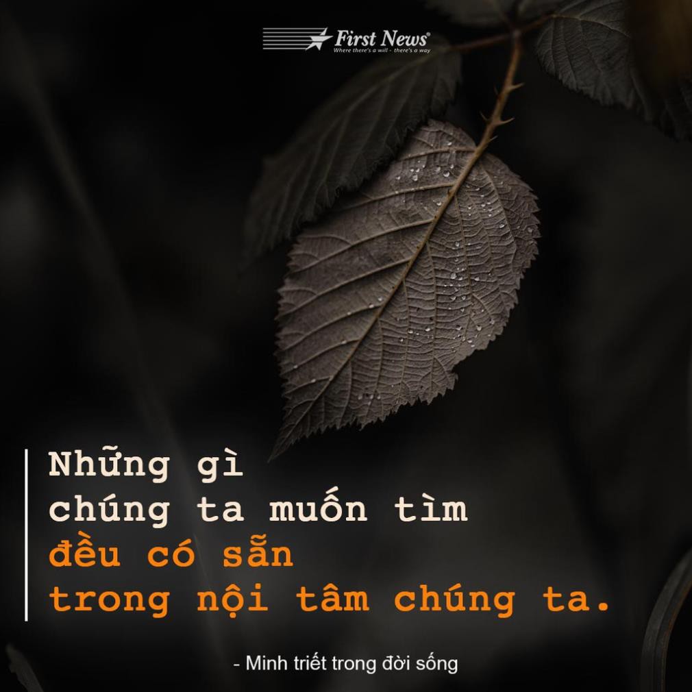Sách - Minh triết trong đời sống - First News