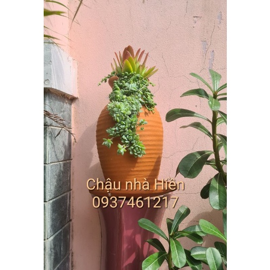 Chậu đất nung Bình Dương xẻ sọc thân m9xc25