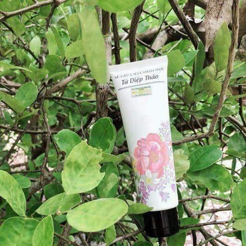 SỮA RỬA MẶT TỨ DIỆP THẢO 120G
