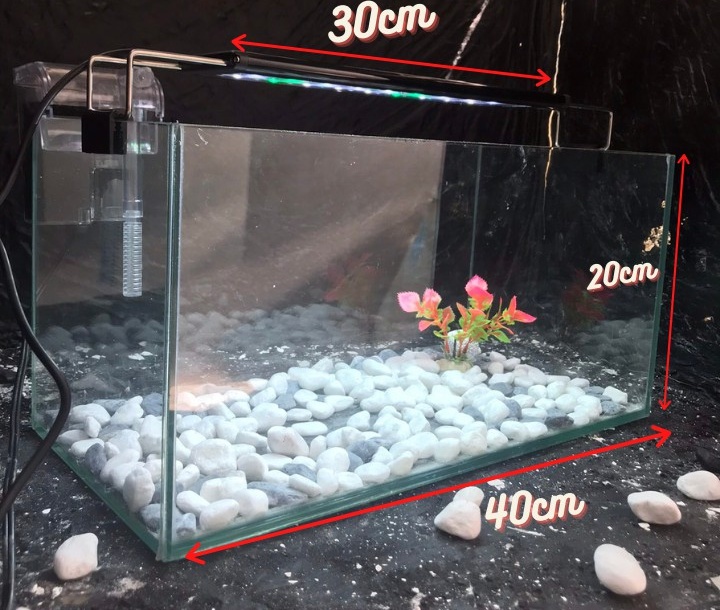 Bể cá mini 40cm COMBO đầy đủ có đèn led siêu dễ thương 3 chế độ sáng