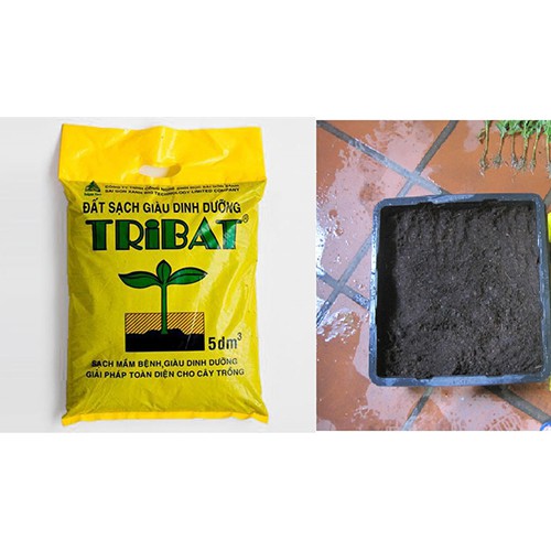 Đất sạch trồng cây tribat 5dm3 - rau củ quả trồng tại vườn, sân thượng, nông trang, ban công