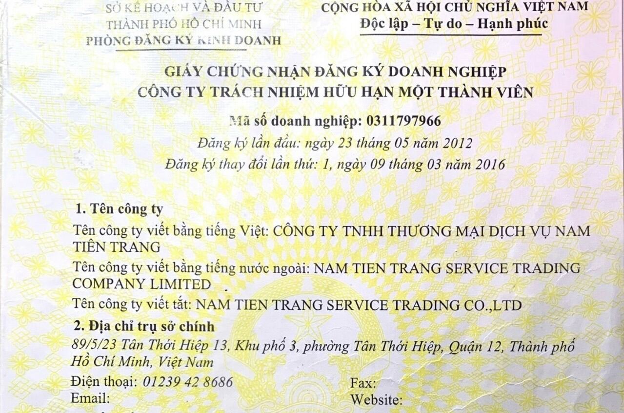 Hạt giống hoa Cúc Hoàng Hậu