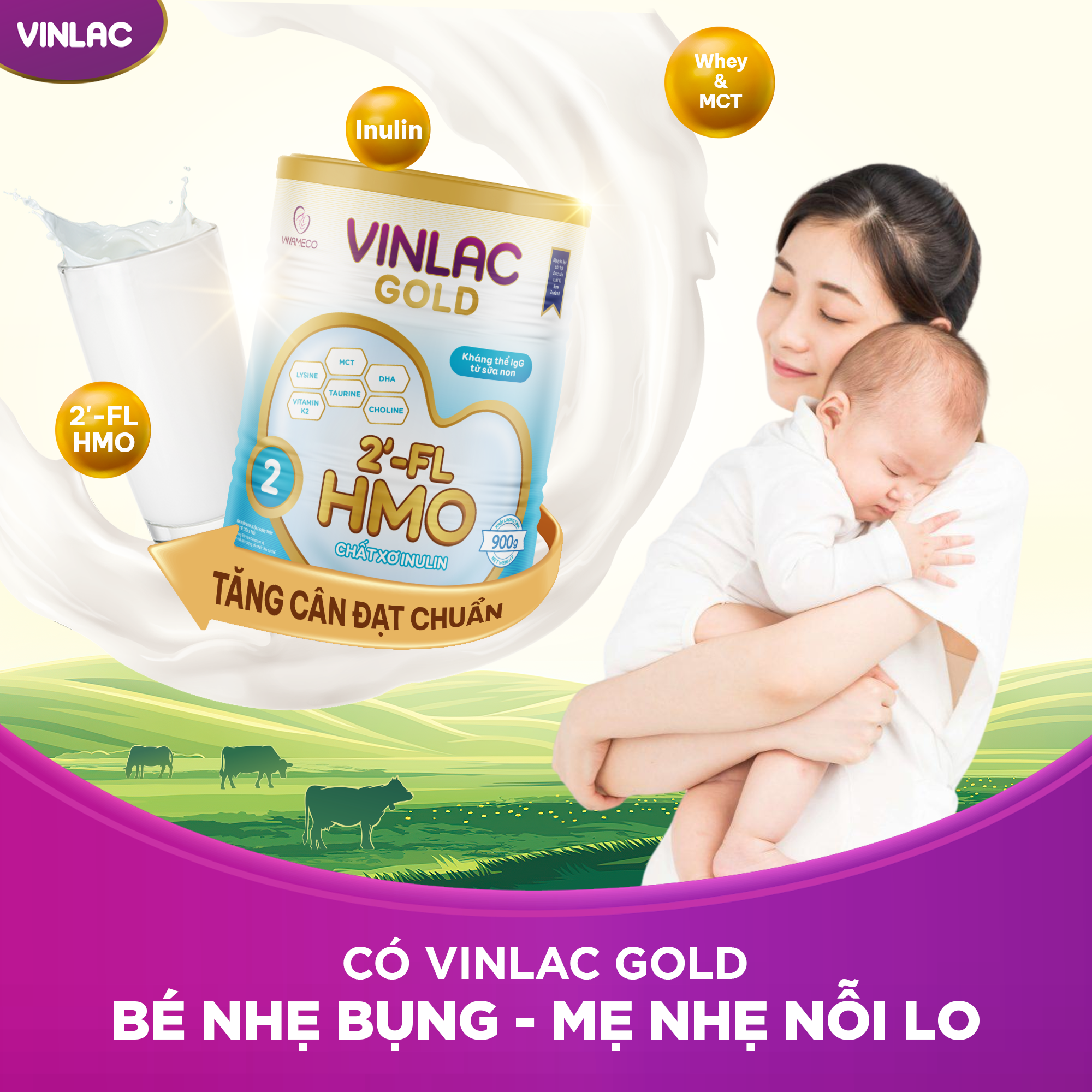 Sữa bột Vinlac Gold số 1 800g