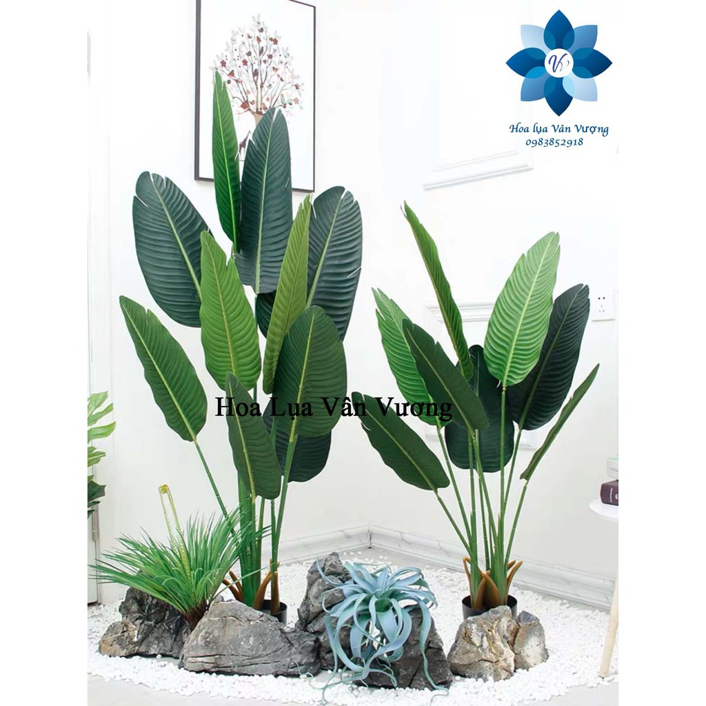 Cây Giả Cây Chuối Cảnh Lá Mờ