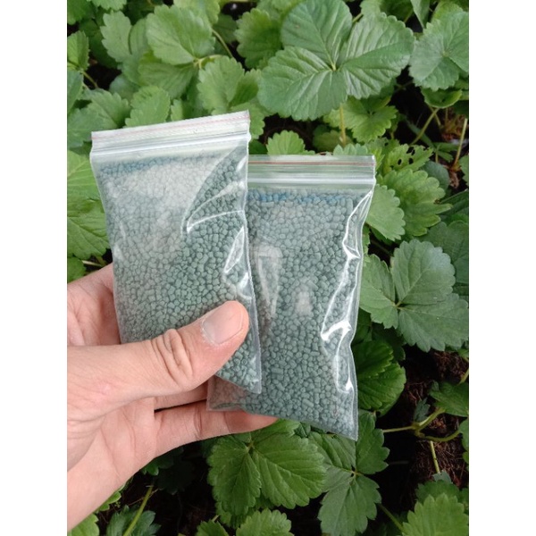 [ PHÂN BÓN  ] Bả Mồi Diệt Ốc Sên  TOXBAIT 75GR/ Gói ️