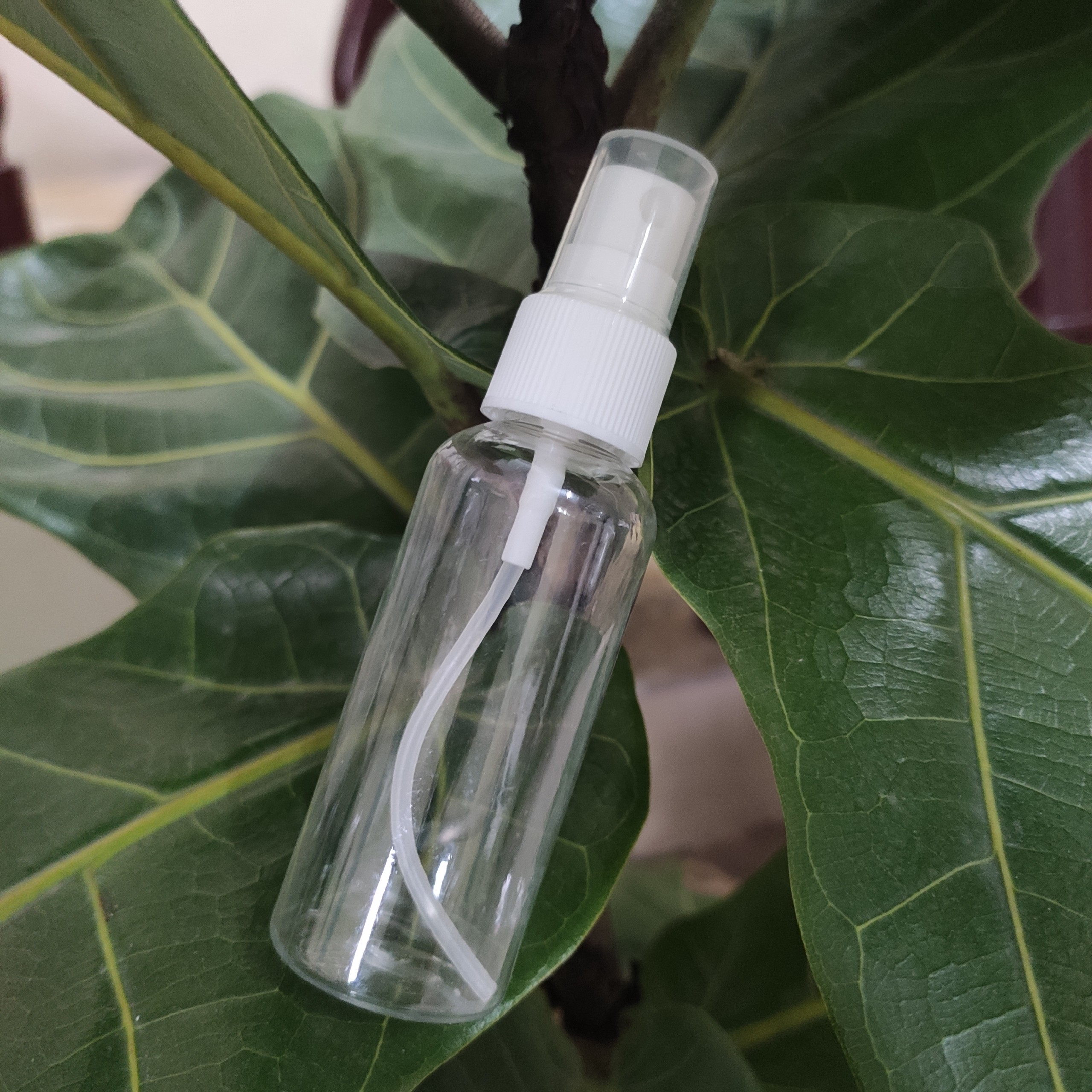 Chai chiết phun sương 50ml , 100ml