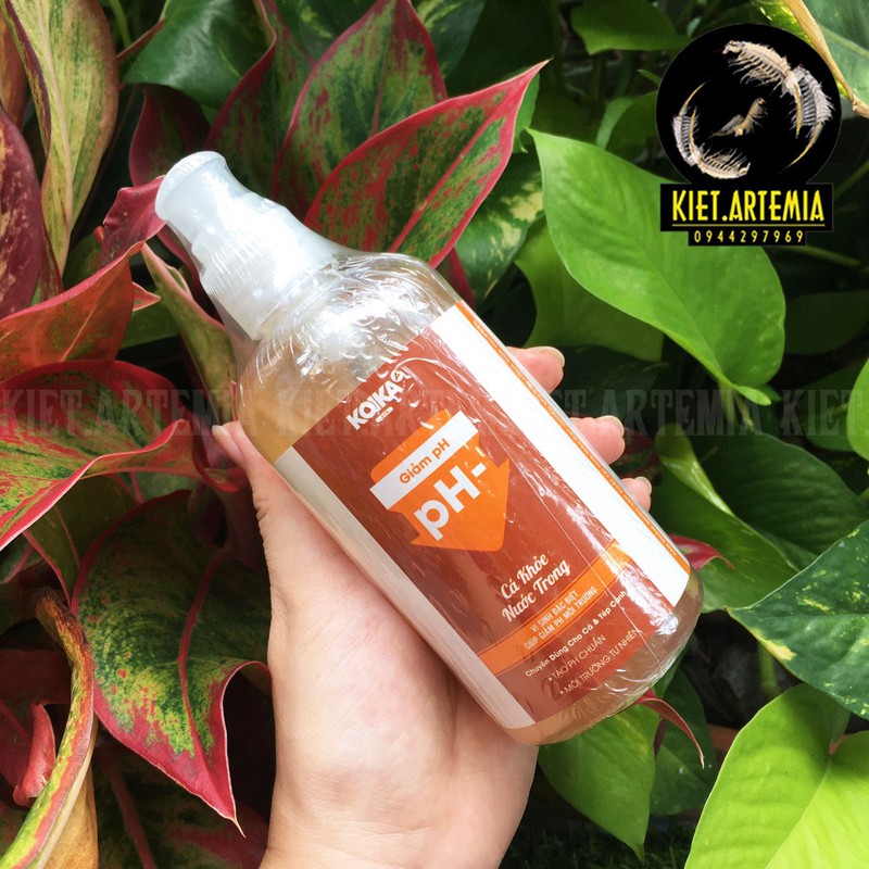 Dung Dịch giảm pH 105ml