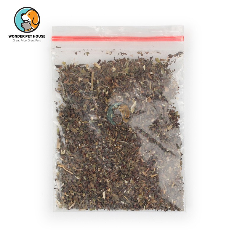 [ Cá Nhồi Catnip] Thú Nhồi Catnip Cho Mèo Vui Nhộn