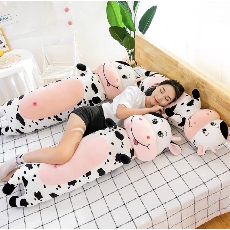 GỐI ÔM BÒ SỮA SIÊU CUTE [ MẪU MỚI RẺ VÔ ĐỊCH]