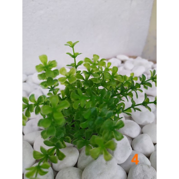 [HCM]Cây nhựa trang trí hồ cá-bể cá cảnh