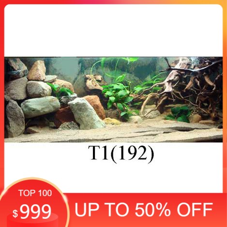 Tranh 3D dán bể cá cảnh hồ thuỷ sinh