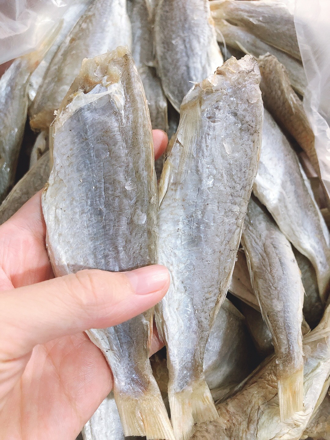 [1KG] - CÁ PHÈN HÉO/ CÁ ĐÙ KHÔ HÉO ƯỚP MẶN