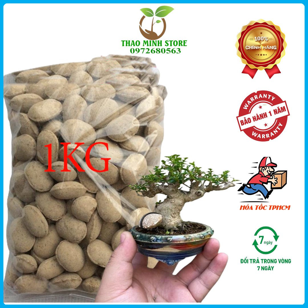 Phân tan chậm hạt bàng Nhật Bản 12-6-6 Túi 200gram