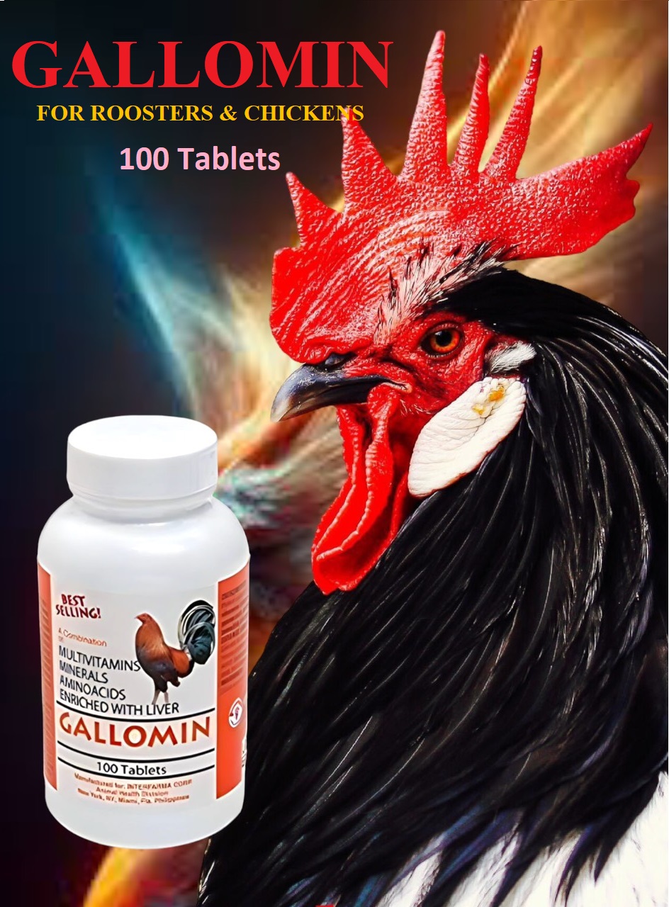 GALLOMIN dinh dưỡng cho gà đá CHIẾC LẼ 20 VIÊN