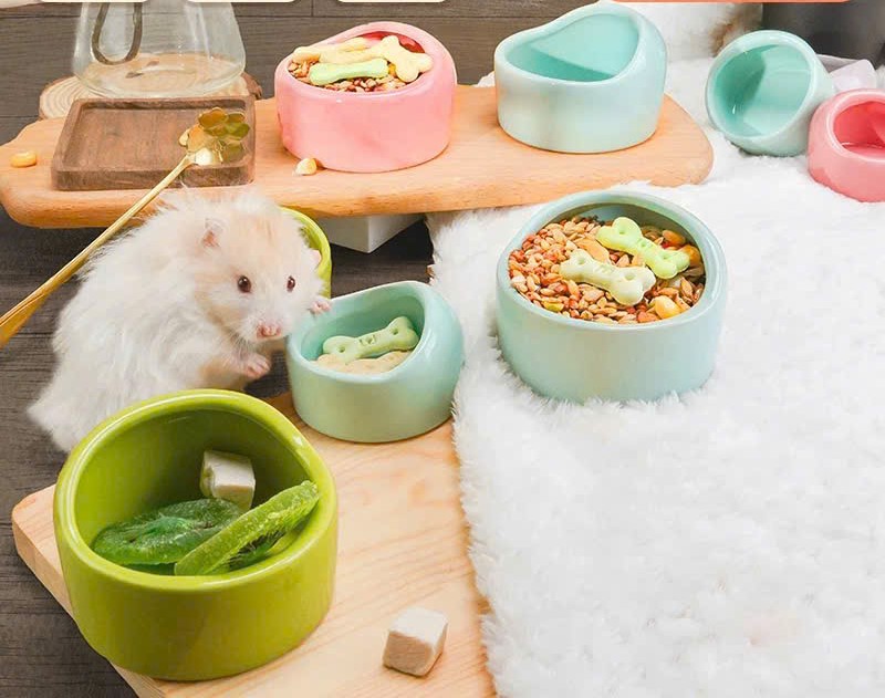 chén vòm trơn size lớn cho hamster /sóc /nhím /fat tail /dumbo / rat -T3 PETS SHOP