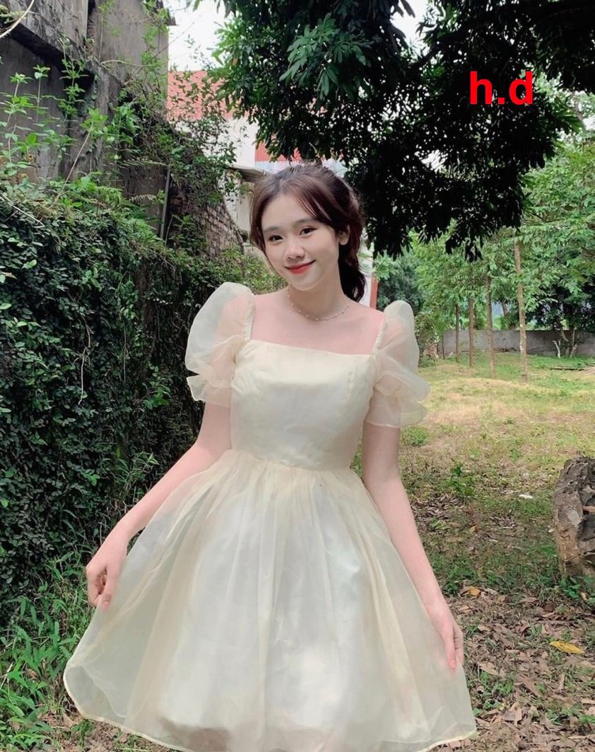 Top 51 về váy xòe công chúa dự tiệc  Du học Akina