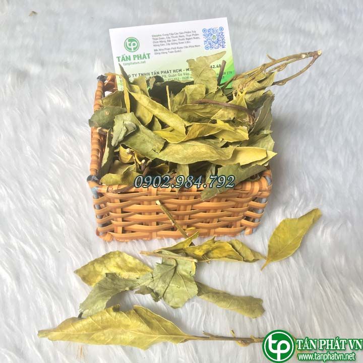 Chè dung khô 1kg - Hàng sạch thơm cao cấp - Thảo Dược Tấn Phát