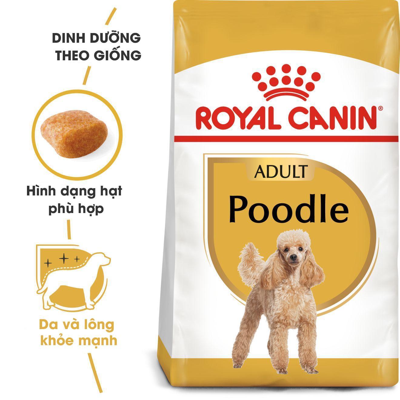 Hạt cho chó Poodle ROYAL CANIN, Thức ăn hạt khô cho chó Poodle mọi lứa tuổi
