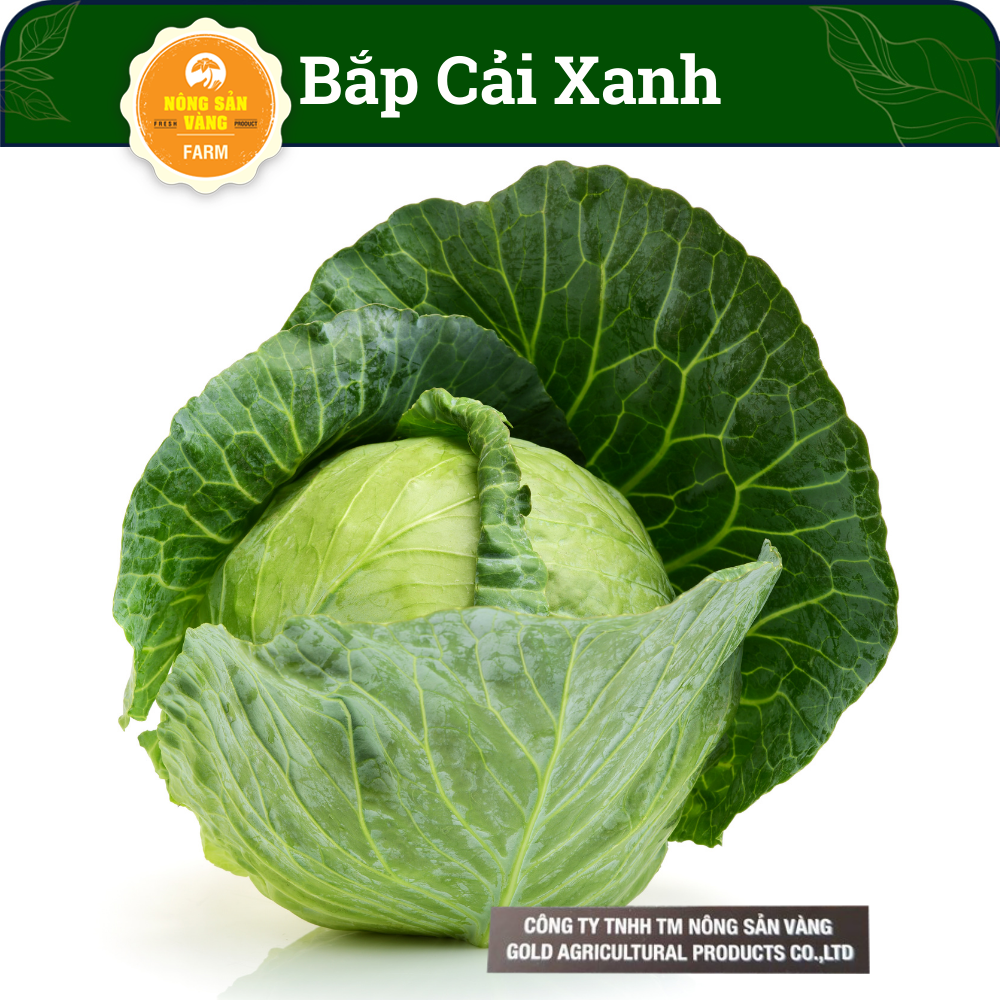Cabbage seed Black Tiger heat resistant (cabbage) high germination, easy care, rich nutritional value (0.5 gram)-shallow gold