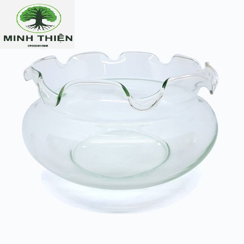 [HCM]Bể Cá Thủy Tinh Chậu Cây Hồ Cá Miệng Bèo B16 D15CM x 8CM