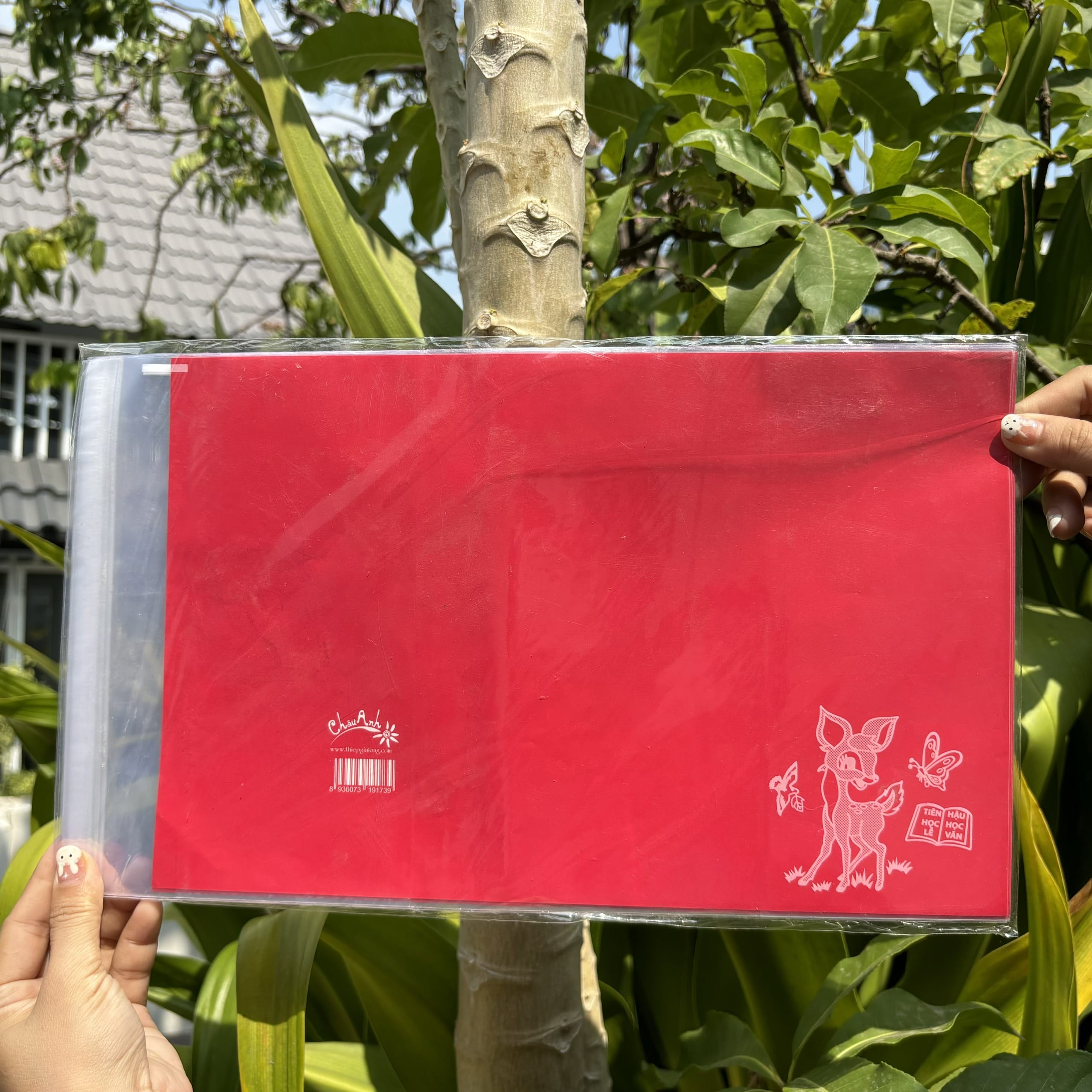 COMBO 10 tờ bao tập nilon giấy màu thủ công (15.5x20.5cm)