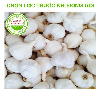 Tỏi Phan Rang 1kg (Đặc Sản Ninh Thuận)