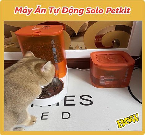 Máy cho ăn tự động Petkit Solo