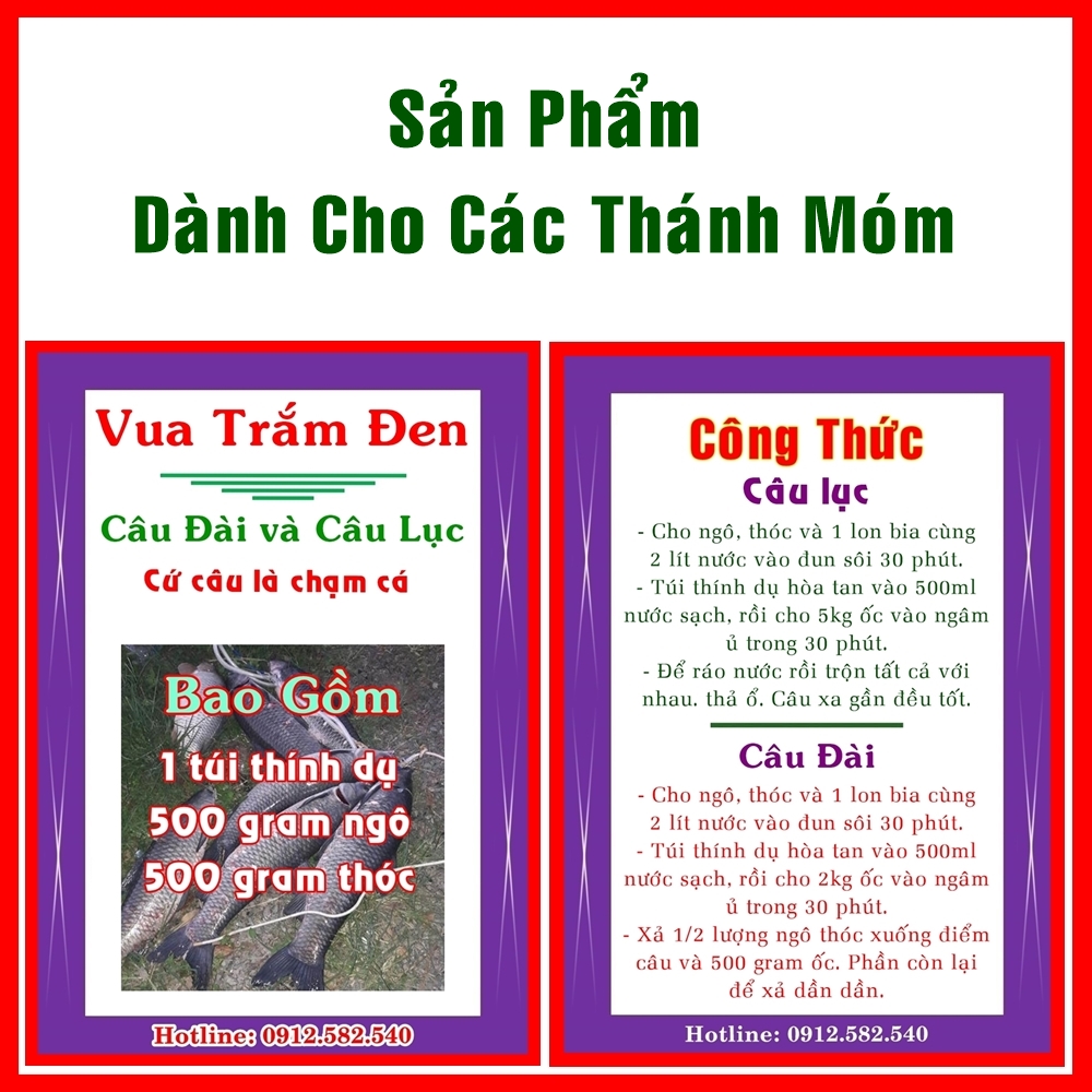 Mồi trắm đen, thính trắm đen, câu là chạm cá, bắt được nhiều hay ít thì là tùy các cụ