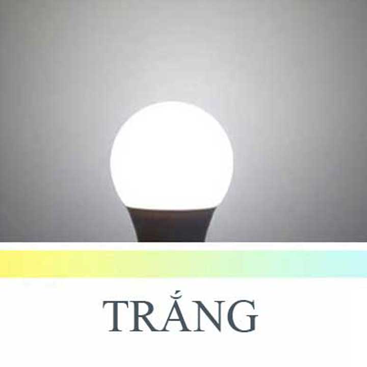BÓNG ĐÈN LED BÓNG NẤM KIN NƯỚC 3W