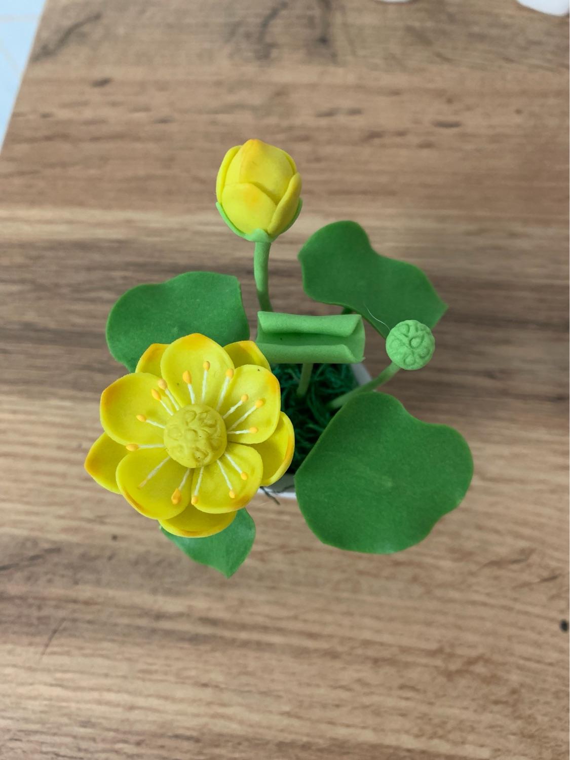 [HCM]Chậu hoa đất sét mini thủ công handmade
